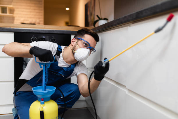Best Wildlife Control Services  in Haslet, TX