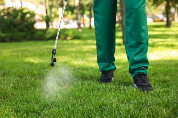 Best Mosquito Control Services  in Haslet, TX