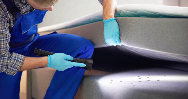 Best Emergency Pest Control  in Haslet, TX