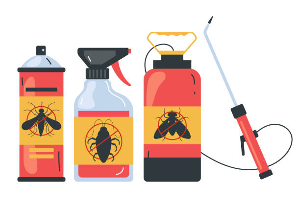 Wasp Removal Services in Haslet, TX
