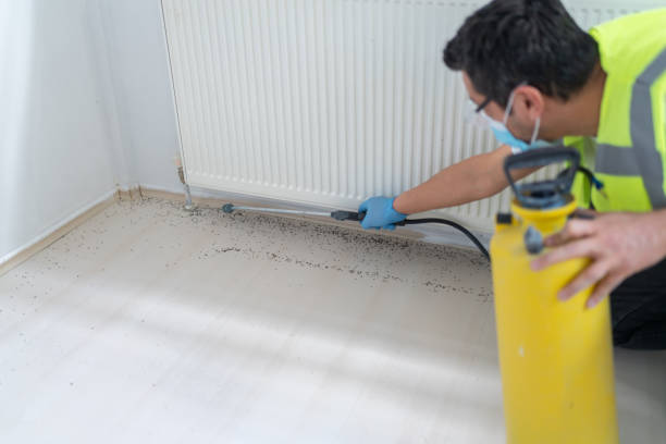 Best Pest Prevention Services  in Haslet, TX