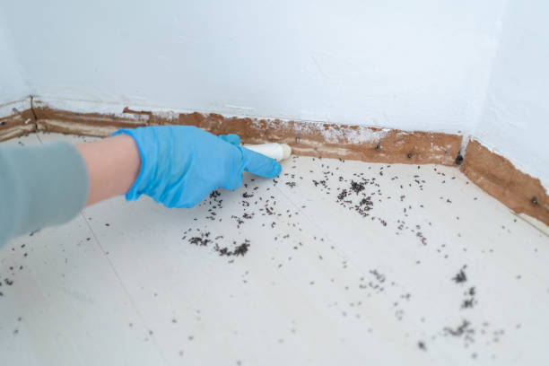 Pest Control Cost in Haslet, TX